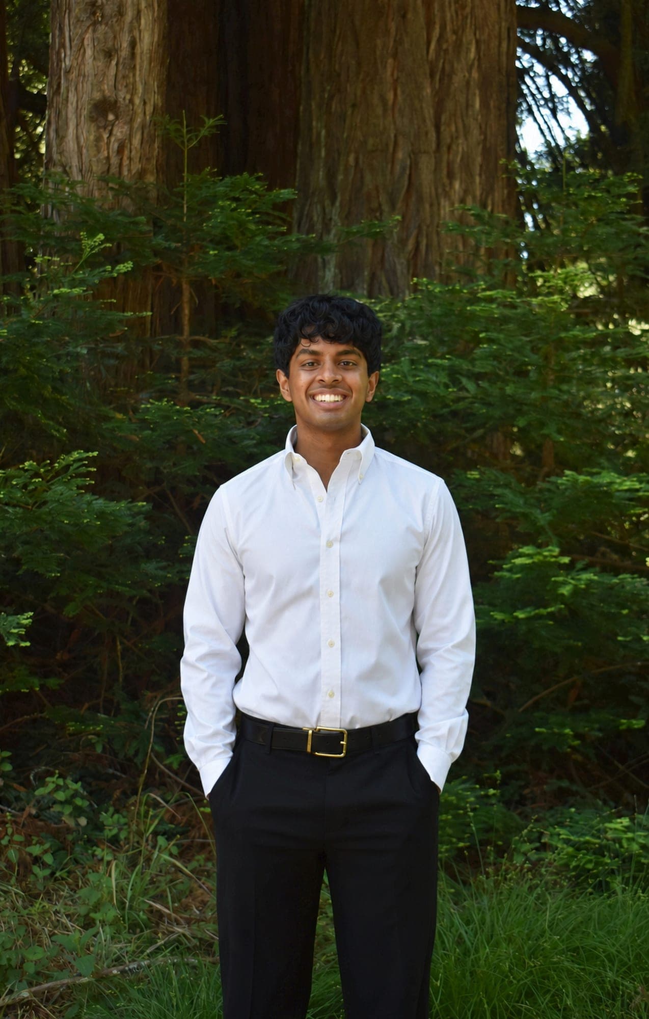 Tejas in the redwoods